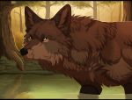  2013 ambiguous_gender black_bars black_nose brown_fur canine day detailed_background digital_media_(artwork) dog feral fur looking_at_viewer mammal maplespyder outside partially_submerged solo standing 