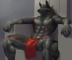  abs anthro bulge canine chair clothing fur kaynine loincloth male mammal muscular muscular_male sitting smile solo spread_legs spreading stomach_hair throne 