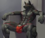  abs anthro balls bulge canine chair clothing fur humanoid_penis kaynine male mammal muscular muscular_male penis sitting smile solo spread_legs spreading stomach_hair throne underwear 