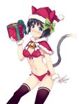  bell black_hair blue_eyes box cat_ears cat_tail closed_mouth daibouken!_yukeyuke_osawari_island gift gift_box gift_wrapping gloves hat hat_with_ears holding ichigo_(daibouken!_yukeyuke_osawari_island) looking_at_viewer nontan official_art santa_costume santa_gloves santa_hat short_hair skirt smile tail transparent_background underwear 
