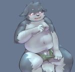  4_fingers anthro blush briefs canine cellphone clothing flaccid hi_res humanoid_penis male mammal moobs navel nipples obese overweight penis penis_base phone simple_background solo underwear wolf 香瓜 