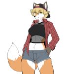  anthro blonde_hair canine clothed clothing crop_top denim_shorts female fishnet fox hair hat looking_at_viewer mammal midriff munks_(artist) navel shirt shorts solo standing wide_hips 