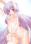  animal_ears bad_id bad_pixiv_id blush breasts bunny_ears cameltoe covered_nipples highres long_hair medium_breasts necktie nipples no_pants panties purple_hair red_eyes reisen_udongein_inaba see-through shirt solo suzume_inui touhou underwear wet wet_clothes wet_panties white_shirt 