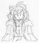  amy_rose praiz sonic_team tagme 