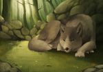  2014 ambiguous_gender black_nose canine day detailed_background digital_media_(artwork) feral forest fur grass green_eyes grey_fur lying mammal maplespyder outside paws solo tree wolf 