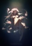  areolae barefoot chinese_commentary closed_eyes commentary_request dark eyebrows_visible_through_hair floating_hair full_body highres ia_(vocaloid) knee_up long_hair nipples nude plantar_flexion silver_hair solo submerged title underwater veilrain very_long_hair vocaloid 