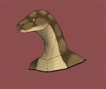  boa_constrictor brown_scales bust_portrait long_neck portrait red_background reptile rivek scales scalie simple_background slit_pupils snake solo tan_scales 