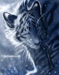  2018 ambiguous_gender black_stripes digital_media_(artwork) eyes_closed feline feral flashw fur mammal solo striped_fur stripes tiger whiskers white_fur 
