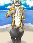  2018 anthro beach black_nose black_sclera blush bulge canine clothing digital_media_(artwork) fur girly green_eyes grey_fur hoodie kemosara leggings legwear looking_at_viewer male mammal multi_nipple navel nipples open_hoodie panties raised_leg seaside seth_(tas) shy solo tokyo_afterschool_summoners underwear white_fur wide_hips wolf 