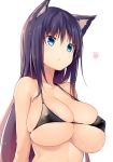  :&lt; animal_ears areola_slip areolae bikini_top black_bikini_top blue_eyes blue_hair breasts commentary_request covered_nipples eyebrows_visible_through_hair highres huge_breasts iinuma_toshinori long_hair original puffy_nipples simple_background skindentation solo upper_body wet wet_hair white_background 