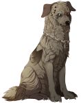  2014 alpha_channel ambiguous_gender black_nose canine collar digital_media_(artwork) dog feral fur heterochromia mammal maplespyder no_sclera simple_background sitting solo tan_fur transparent_background 