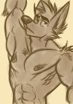  abs alejandrogsd_(artist) canid canine male mammal muscular muscular_male pecs sketch solo 