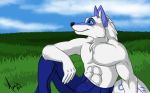  2011 amocin anthro canine clothed clothing cloud digital_media_(artwork) draco_(piro-chan) fur grass male mammal meadow outside sky smile solo topless white_fur wolf 