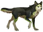  2014 alpha_channel ambiguous_gender black_fur black_nose blue_eyes canine digital_media_(artwork) feral fur green_fur looking_at_viewer mammal maplespyder no_sclera paws simple_background solo standing tan_fur transparent_background transparent_solo wolf 