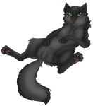  2018 alpha_channel cat digital_media_(artwork) feline female feral fur hi_res hollyleaf invalid_background looking_at_viewer mammal pussy simple_background smile solo thewolfofthestars transparent_background warrior what 