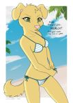  2018 anthro autumndeer beach bikini canine clothing dog english_text female fur green_eyes mammal pink_nose seaside sky solo standing swimsuit text yellow_fur 