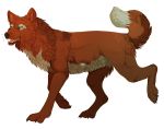  2014 alpha_channel ambiguous_gender black_nose blue_eyes brown_lips canine digital_media_(artwork) dipstick_tail feral fur mammal maplespyder multicolored_tail open_mouth red_fur simple_background smile solo standing teeth tongue transparent_background 