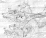  1980 bd black_and_white canine claws eyewear feral fur group happy mammal monochrome open_mouth pencil_(artwork) sketch smile sunglasses tongue tongue_out traditional_media_(artwork) 