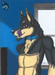  2017 anthro bayzan bayzan_(artist) black_fur canine collar czechoslovakian_wolfdog dog fangs fur german_shepherd grin hi_res hybrid long_fangs looking_at_viewer male mammal mane muscular muscular_male smile smirk solo tongue traditional_media_(artwork) wolf yellow_fur 