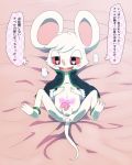  4_fingers anthro balls blush bottomless clothed clothing cum cum_in_ass cum_inside fur gaping lying male mammal mouse ofuro on_back open_jacket penis pillow red_eyes rodent solo spread_legs spreading tapering_penis text translation_request white_fur 