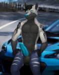  acewolfy black_fur black_hair blue_nose blurred_background canine car clothing cum erection fur grey_fur hair katarhein male mammal navel pants subaru tattoo torn_clothing vehicle wolf 