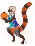  2010 5_fingers 5_toes ambiguous_gender anthro ball basketball basketball_(ball) basketball_uniform biped black_claws black_nose blue_clothing bottomless brown_fur brown_stripes brown_tail chest_tuft claws clothed clothing colored_pencil_(artwork) digitigrade euplerid eyebrows full-length_portrait fur green_eyes grey_fur holding_ball holding_object joleii long_tail looking_aside looking_away mammal multicolored_fur orange_fur orange_stripes orange_tail portrait raised_leg ring-tailed_vontsira ringtail running semi-anthro simple_background smile snout solo sport sports_uniform sportswear striped_fur striped_tail stripes toe_claws toes toony traditional_media_(artwork) tuft two_tone_tail uniform vontsira white_background 
