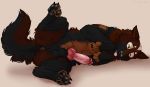  2018 4_toes anatomically_correct anatomically_correct_penis animal_genitalia animal_penis anthro anus balls black_fur black_nose brown_fur canine canine_penis ears_back feral fingerless_(marking) fluffy fur inviting knot looking_at_viewer lying male mammal marjani multicolored_fur on_side one_eye_closed pawpads paws penis presenting raised_leg red_penis simple_background smile solo toeless_(marking) toes tongue tongue_out vein wolf yellow_eyes 
