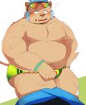  2018 anthro belly bhtoss blush boar clothing gouryou humanoid_hands male mammal mohawk moobs navel nipples overweight overweight_male porcine solo speedo swimsuit tokyo_afterschool_summoners tusks 