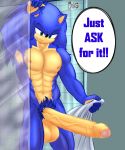  alternate_version_at_source balls biceps big_muscles big_penis blue_fur dgemporium fur green_eyes hedgehog huge_penis long_penis male mammal muscular muscular_male naughty_face nipples pecs penis pubes shower sonic_(series) sonic_the_hedgehog standing uncut 