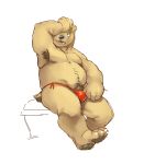  2016 anthro armpit_hair bear belly black_eyes black_nose brown_fur bulge claws clothing digital_media_(artwork) dubu full_body_portrait fur male mammal navel open_mouth overweight overweight_male simple_background sitting slightly_chubby solo teeth toe_claws underwear white_background 