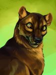  2014 ambiguous_gender brown_fur bust_portrait digital_media_(artwork) digital_painting_(artwork) euplerid fangs feral fossa foxjot front_view fur green_background green_sclera hi_res inner_ear_fluff mammal muzzle_scabs orange_eyes portrait simple_background snout solo whiskers wide_eyed 