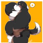  2018 anthro belly bernese_mountain_dog black_fur blue_eyes blush border canine cigarette digital_media_(artwork) dog eyewear flaccid fur glasses half-closed_eyes kemono male mammal moobs nipples nude orange_background overweight overweight_male penis quanjiang simple_background slightly_chubby solo uncut white_fur 犬酱 