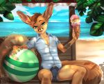  anthro beach bulge canine clothed clothing dessert fennec food fox girly ice_cream looking_at_viewer male mammal mishabahl outside seaside sitting smile solo 