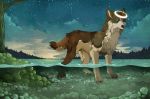  2014 ambiguous_gender black_fur black_nose blue_eyes canine detailed_background digital_media_(artwork) dog feral fur looking_at_viewer mammal maplespyder night outside partially_submerged sky solo standing star starry_sky white_fur 