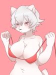  1girl bra breasts dog furry red_eyes short_hair solo underwear white_hair zeta 