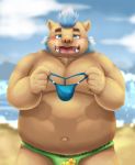  &lt;3 &lt;3_eyes aotoaka beach belly big_belly blue_hair blush boar clothing facial_hair gouryou hair male mammal mohawk overweight porcine seaside sideburns speedo swimsuit thong tokyo_afterschool_summoners 