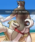  2018 abs anthro assisted_exposure beach black_fur butt canine clothed clothing dog duo english_text fish fur green_eyes grey_fur husky male male/male mammal marine muscular muscular_male nipples outside pants pants_down partially_clothed raised_tail sea seaside selfie shark sharp_teeth sigma_x signature sky smile snapchat standing swimsuit teeth text topless url water white_fur 