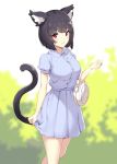  :d alternate_costume animal_ear_fluff animal_ears azur_lane bag bangs black_hair blouse blue_blouse blue_skirt blurry blurry_background blush bow breasts casual cat_ears cat_tail checkered checkered_skirt collared_blouse commentary_request cowboy_shot day eyebrows_visible_through_hair hand_up handbag highres ikomochi looking_at_viewer medium_breasts open_mouth outdoors pleated_skirt puffy_short_sleeves puffy_sleeves red_eyes shiny shiny_hair short_hair short_sleeves skirt skirt_hold smile solo tail thighs unmoving_pattern white_bow yamashiro_(azur_lane) 