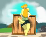  animal_crossing anthro blush canine dog female hi_res isabelle_(animal_crossing) kamperkiller_(artist) looking_at_viewer looking_back mammal nintendo no_underwear presenting pussy rear_view shih_tzu solo super_smash_bros upskirt video_games 