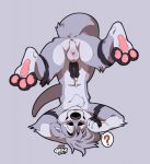  3_toes ? anus avoid_posting balls blush erection fishbones_(artist) fur humanoid_penis male mammal mustelid otter pawpads penis perineum precum purple_fur solo spread_legs spreading toes upside_down 