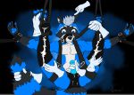  2018 anthro azuraccoon azuraccoonart bdsm blue_fur bound collar digital_media_(artwork) disembodied_hand fur leather male mammal multiple_hands muzzle_(object) muzzled penis procyonid raccoon rubber solo 