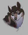  2018 anthro blue_eyes canine contusio digital_media_(artwork) feral male mammal portrait rakan scar were werewolf wolf 