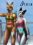  2018 abs anthro bandage bikini black_nose border_collie breasts canine chest_tuft clothed clothing collie digital_media_(artwork) dog duo facial_piercing female fur hair hi_res mammal maned_wolf muscular muscular_female neck_tuft one-piece_swimsuit outside photo_background piercing pirin-apex red_eyes scar smile standing swimsuit tattoo tuft 