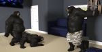  3d_(artwork) bear caught comic digital_media_(artwork) father father-son male male/male mammal parent robbyj88 sex 