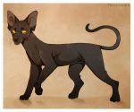  2015 ambiguous_gender cat digital_media_(artwork) feline feral mammal maplespyder orange_eyes paws simple_background solo standing yellow_sclera 