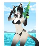  2018 anthro bikini black_fur black_underwear breasts cat clothed clothing dipstick_tail feline female fully_clothed fur gloves_(marking) hair kyotokisha15 mai_karmel mammal markings multicolored_fur multicolored_hair multicolored_tail smile solo swimsuit two_tone_fur two_tone_hair water water_gun white_fur 