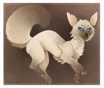  2015 ambiguous_gender blue_eyes brown_background cat digital_media_(artwork) feline feral fur mammal maplespyder no_sclera paws quadruped siamese simple_background solo tan_fur 