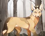  2015 amber_eyes ambiguous_gender black_nose canine coyote day detailed_background digital_media_(artwork) feral forest fur mammal maplespyder no_sclera outside solo standing tan_fur tree whiskers 