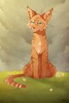  2015 blue_eyes cat day detailed_background digital_media_(artwork) feline feral fur grass mammal maplespyder maplespyder_(character) orange_fur outside paws sitting solo 