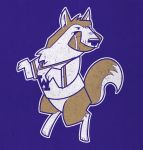 canine chunkysmurf clothing college_football feral football_(disambiguation) fur mammal solo washington_huskies 